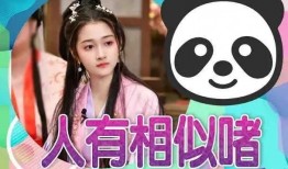 娱乐吃瓜小奖,吃瓜小奖背后的精彩故事